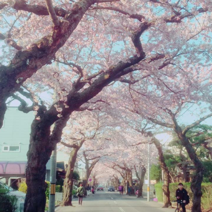 Stay Akeboshi Kan Hakodate Exterior foto